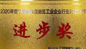 公司榮獲2020年度自治區(qū)工業(yè)企業(yè)對標(biāo)工作“進(jìn)步獎”