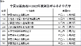 喜 報(bào)—公司入選自治區(qū)2022年度創(chuàng)新型中小企業(yè)